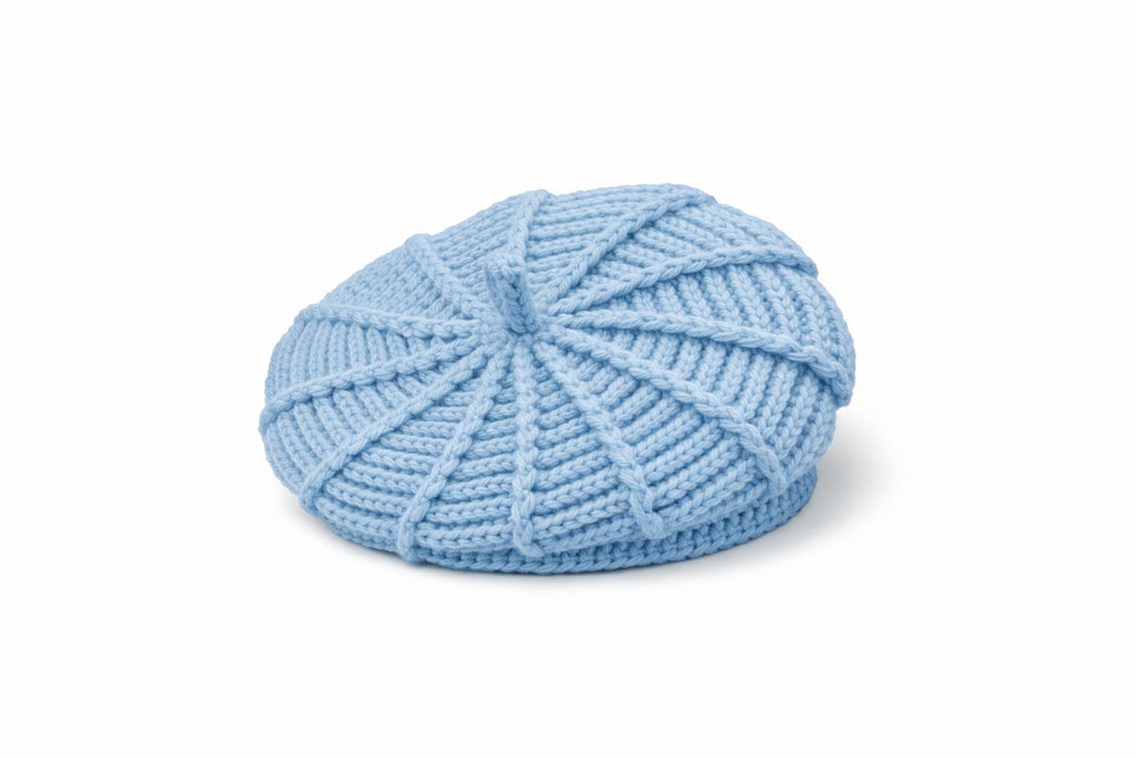 The Famous Aesthetic Beret
