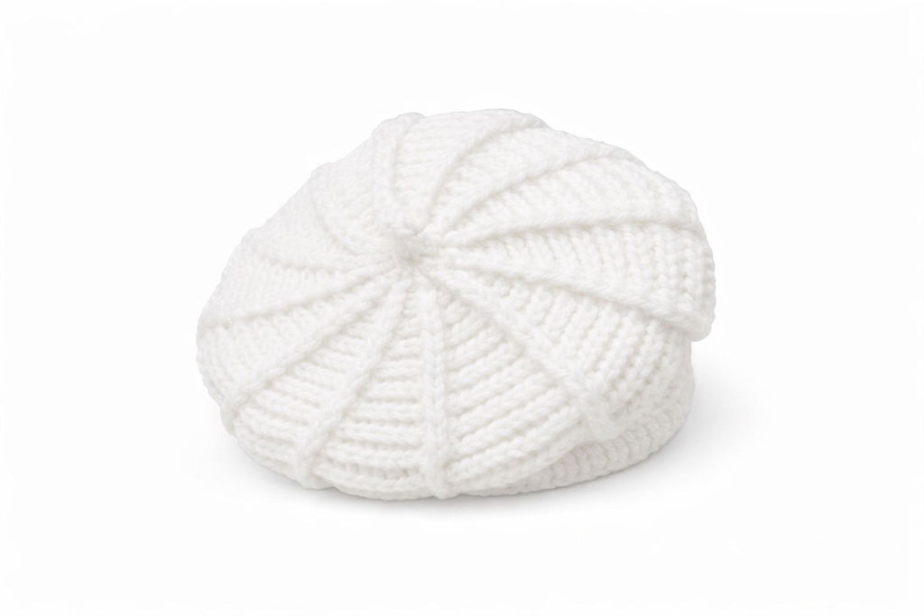 The Famous Aesthetic Beret
